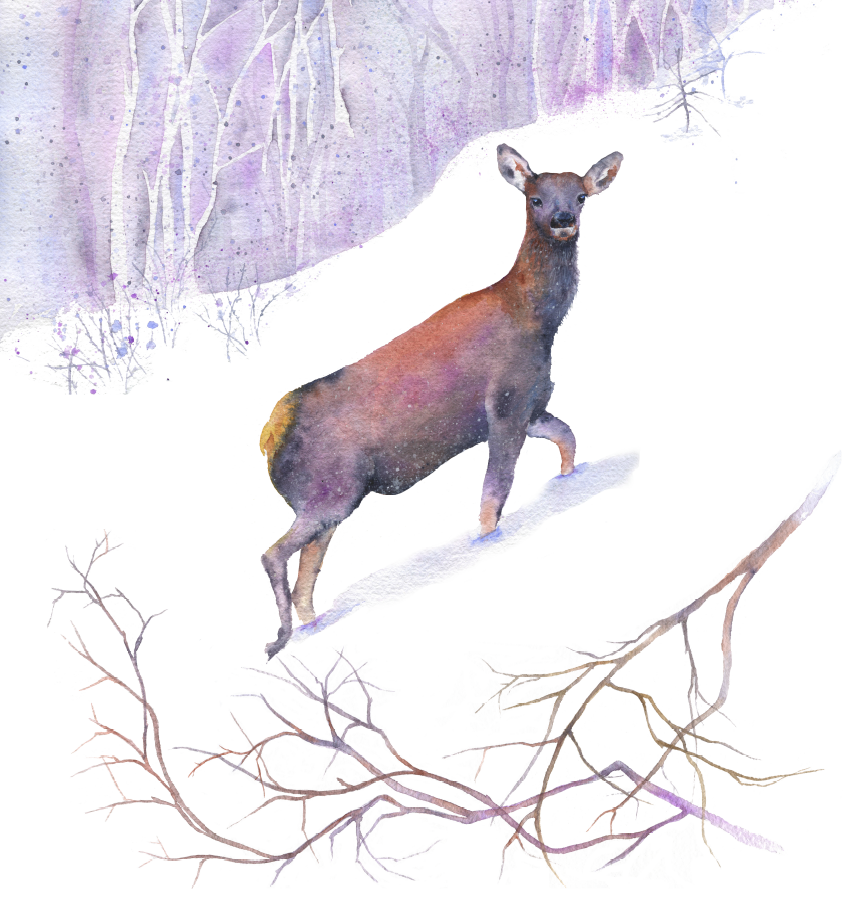 website elk
